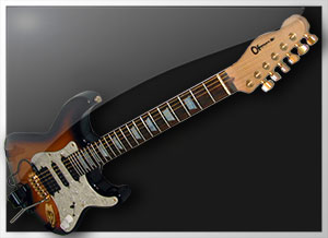 JacksonCustom