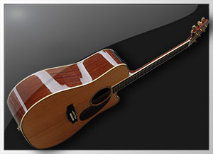 Takamine